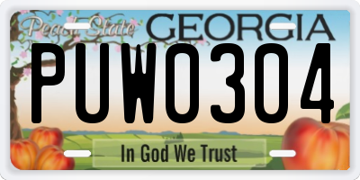 GA license plate PUW0304