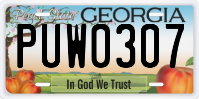 GA license plate PUW0307