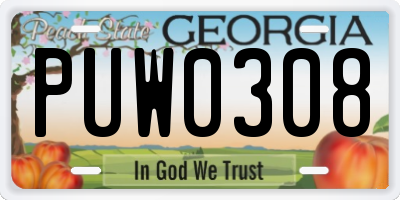 GA license plate PUW0308