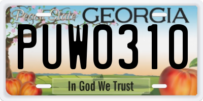 GA license plate PUW0310