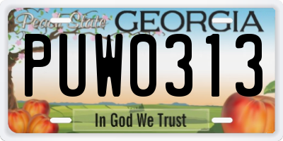 GA license plate PUW0313