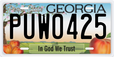 GA license plate PUW0425