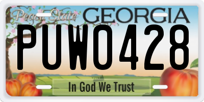 GA license plate PUW0428
