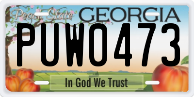 GA license plate PUW0473