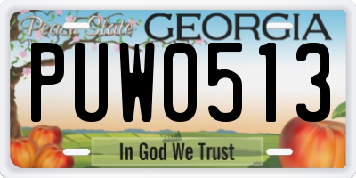 GA license plate PUW0513