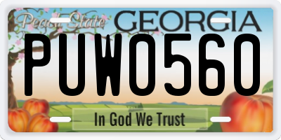 GA license plate PUW0560