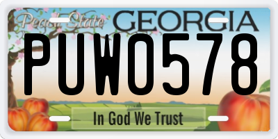 GA license plate PUW0578