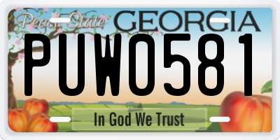 GA license plate PUW0581