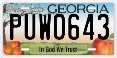 GA license plate PUW0643
