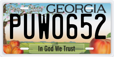 GA license plate PUW0652