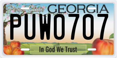 GA license plate PUW0707