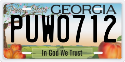 GA license plate PUW0712