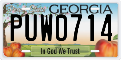 GA license plate PUW0714