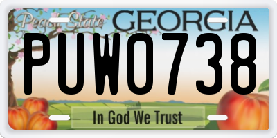 GA license plate PUW0738