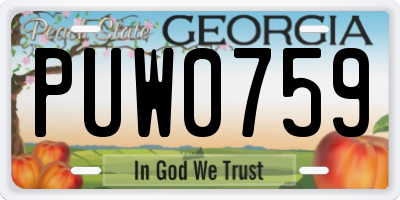 GA license plate PUW0759