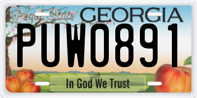 GA license plate PUW0891