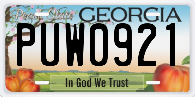 GA license plate PUW0921