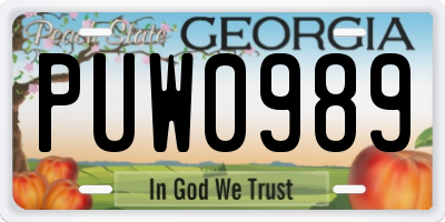 GA license plate PUW0989