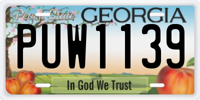 GA license plate PUW1139