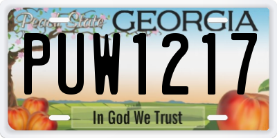 GA license plate PUW1217