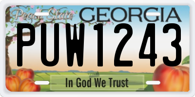 GA license plate PUW1243