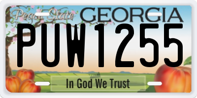GA license plate PUW1255