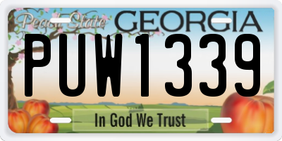 GA license plate PUW1339