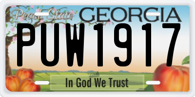 GA license plate PUW1917