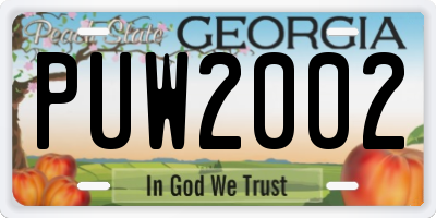 GA license plate PUW2002