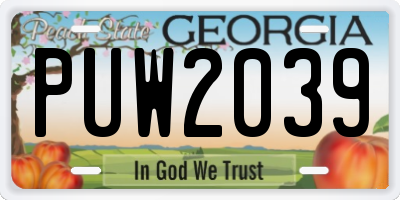 GA license plate PUW2039
