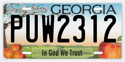GA license plate PUW2312