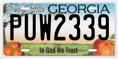 GA license plate PUW2339
