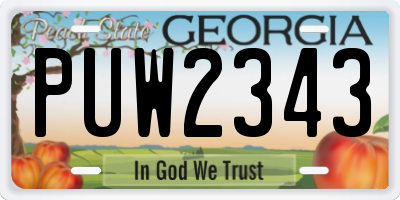 GA license plate PUW2343