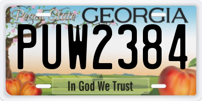 GA license plate PUW2384