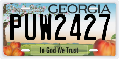 GA license plate PUW2427