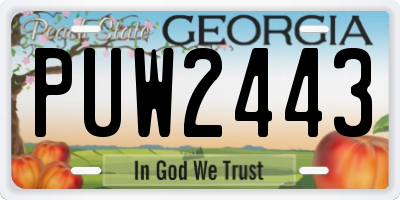 GA license plate PUW2443