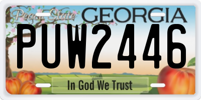 GA license plate PUW2446