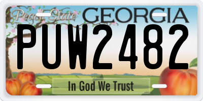 GA license plate PUW2482