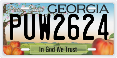 GA license plate PUW2624