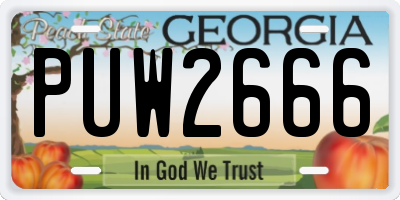 GA license plate PUW2666