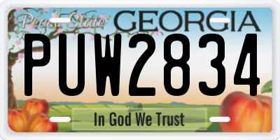 GA license plate PUW2834