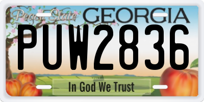 GA license plate PUW2836