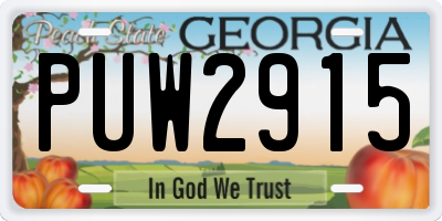 GA license plate PUW2915