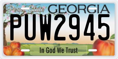 GA license plate PUW2945