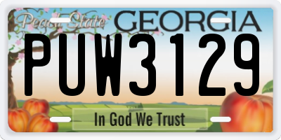 GA license plate PUW3129