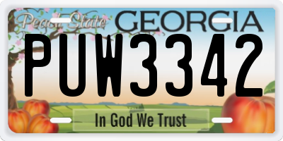 GA license plate PUW3342