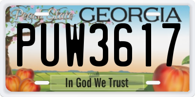 GA license plate PUW3617