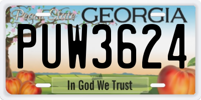 GA license plate PUW3624