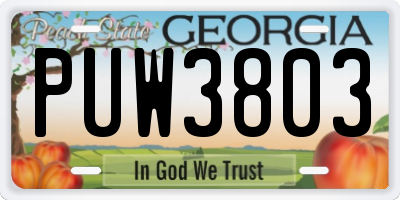GA license plate PUW3803