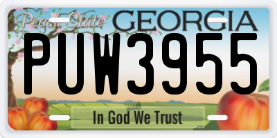 GA license plate PUW3955
